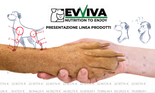 EVVIVAPET